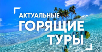 актуальные туры